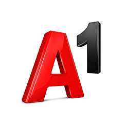 A1_1689859255